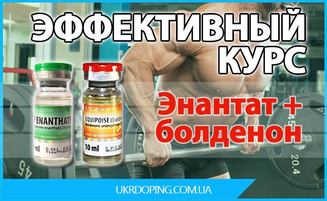 Тренболон (ацетат, энантат): отзывы, как принимать, курс соло, побочки