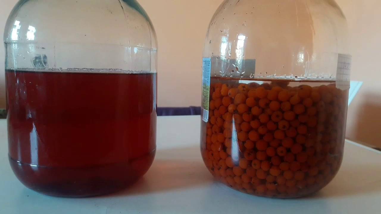 Рябиновая настойка: 6 рецептов в домашних условиях