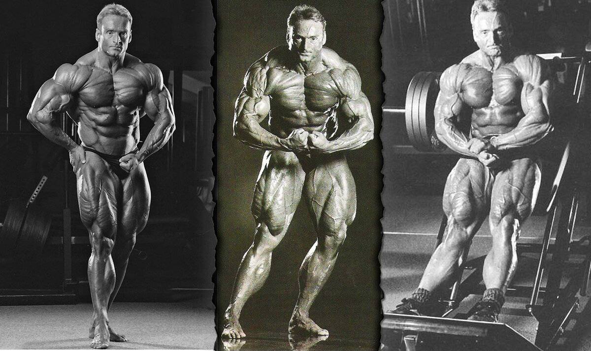 Мистер олимпия (mister olympia) результаты и история