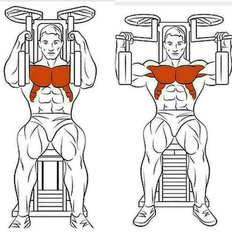 Сведение рук в тренажере - пошаговая техника выполнения