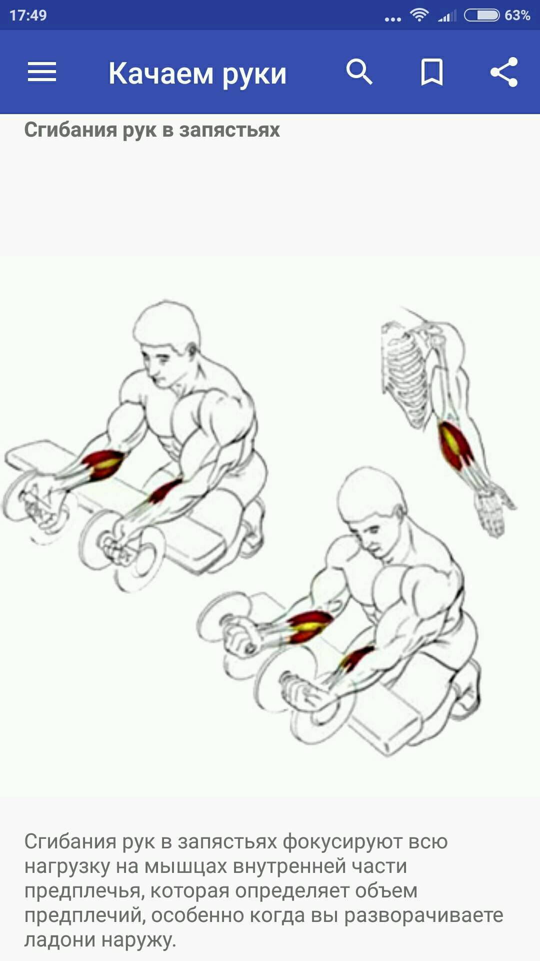 Упражнения для рук без гантелей