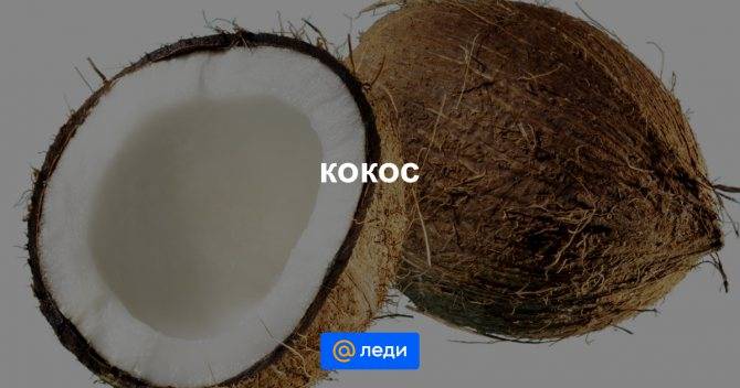 Кокос: польза и вред для человеческого организма