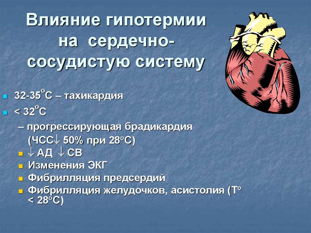 Температура сердца. Факты о сердечно сосудистых заболеваниях. Влияние на сердечно-сосудистую систему. Факторы негативно влияющие на сердечно-сосудистую систему.