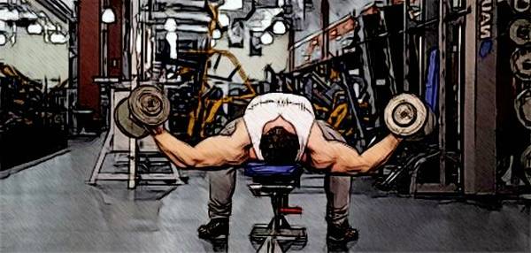 Программа тренировок 2 раза в неделю для набора мышечной массы и силы