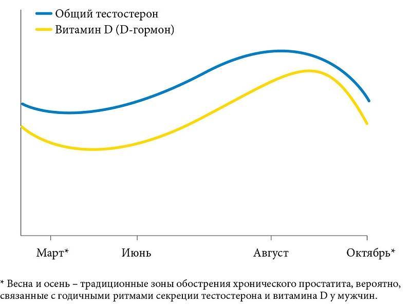 Что высокий тестостерон делает с мужчиной? причины повышенного тестостерона у мужчин и методы его снижения