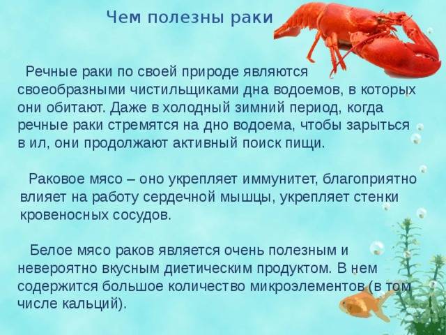 Раки польза и вред