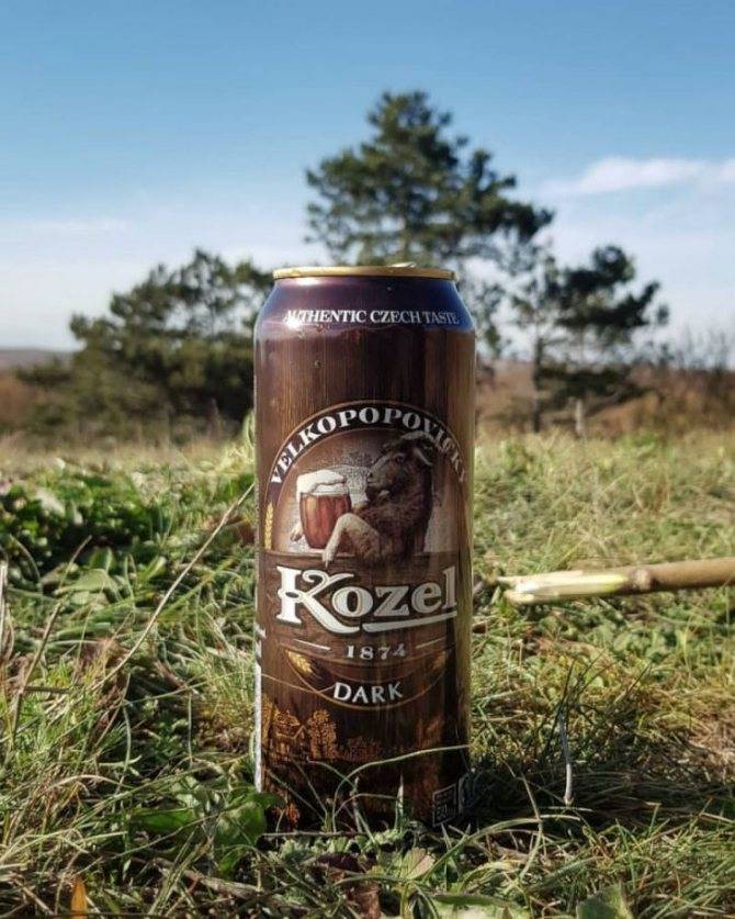 Пиво велкопоповицкий козел: история, виды и как пить