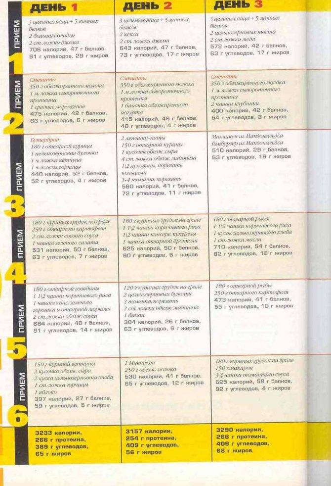 Спортивное питание для начинающих