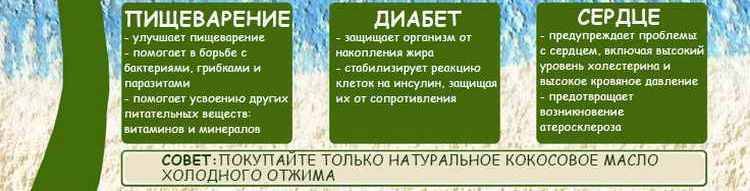 Кокос — полезные свойства, калорийность и вред