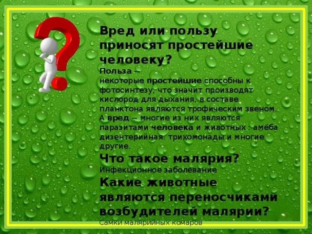 Польза простейших. Вред или пользу приносят простейшие человеку. Польза простейших для человека. Какие простейшие приносят пользу человеку.