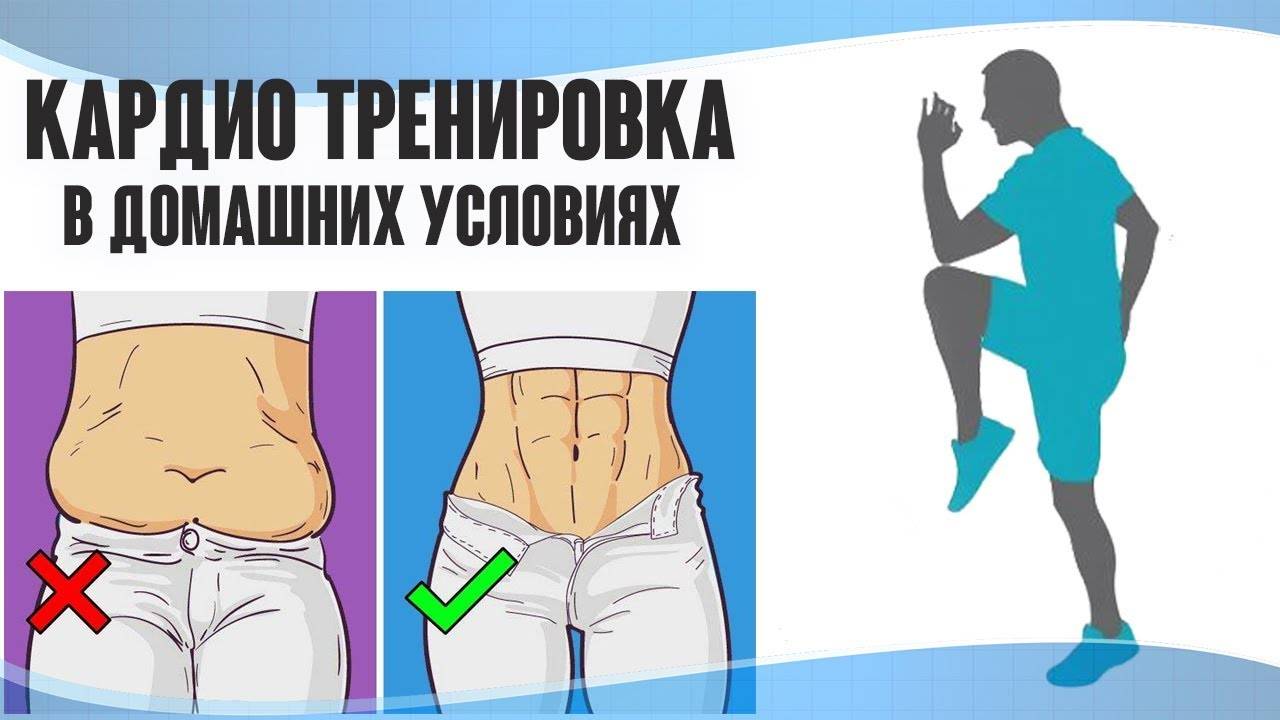 Эффективные кардио упражнения и программы тренировок для сжигания жира в домашних условиях