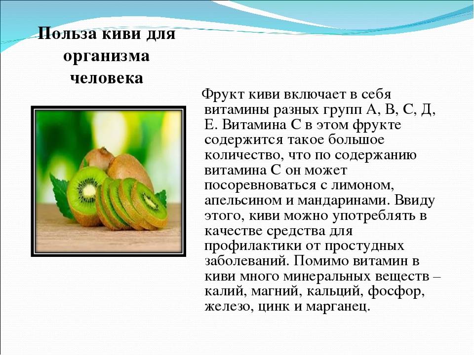 Киви — польза и вред для организма женщины
