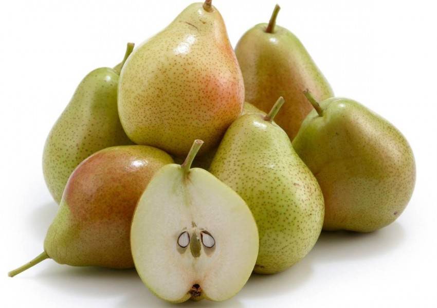 Чем полезна груша для здоровья человека