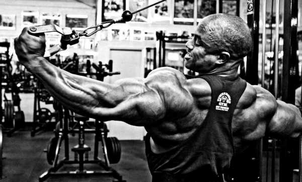 Тренировка боксёра в домашних условиях: программа, план, упражнения