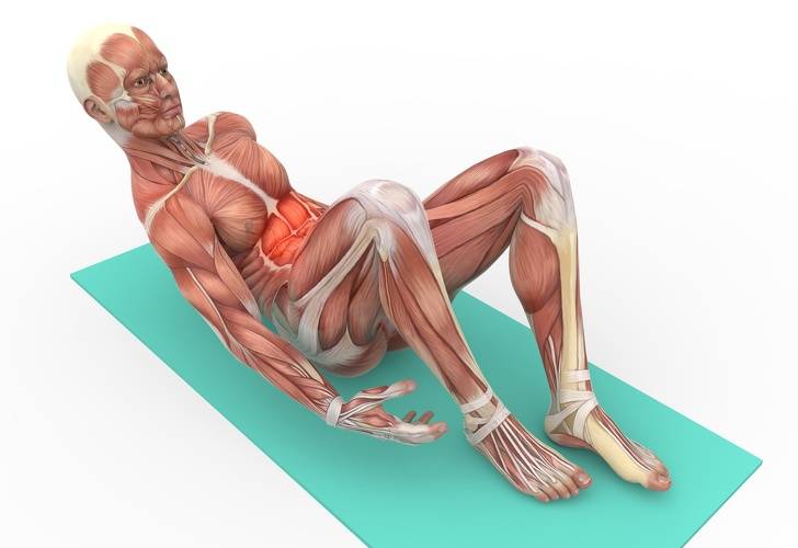 14 упражнений для нижнего пресса: прокачаем низ живота