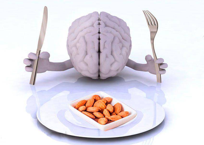 Продукты для улучшение мозга. Питание для мозга. Пища для ума. Еда полезная для мозга. Еда и работоспособности мозга.