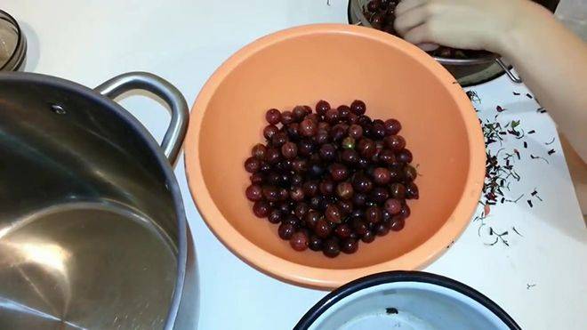 Наливка из клюквы: 4 рецепта в домашних условиях