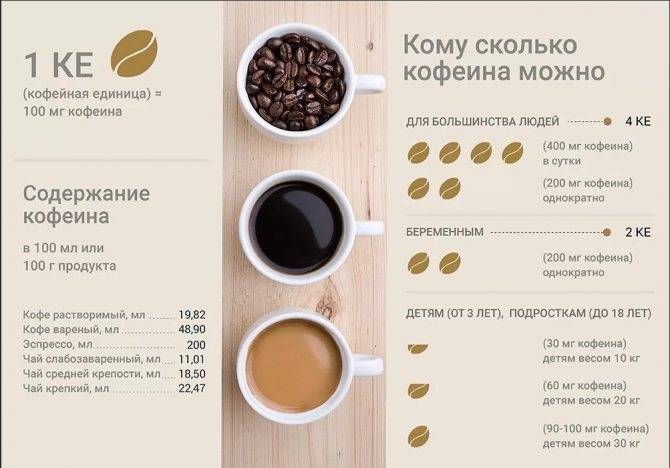 Польза и вред цикория