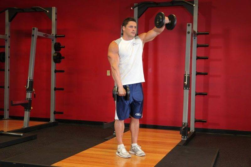 Выпады с гантелями: техника выполнения, какие мышцы работают