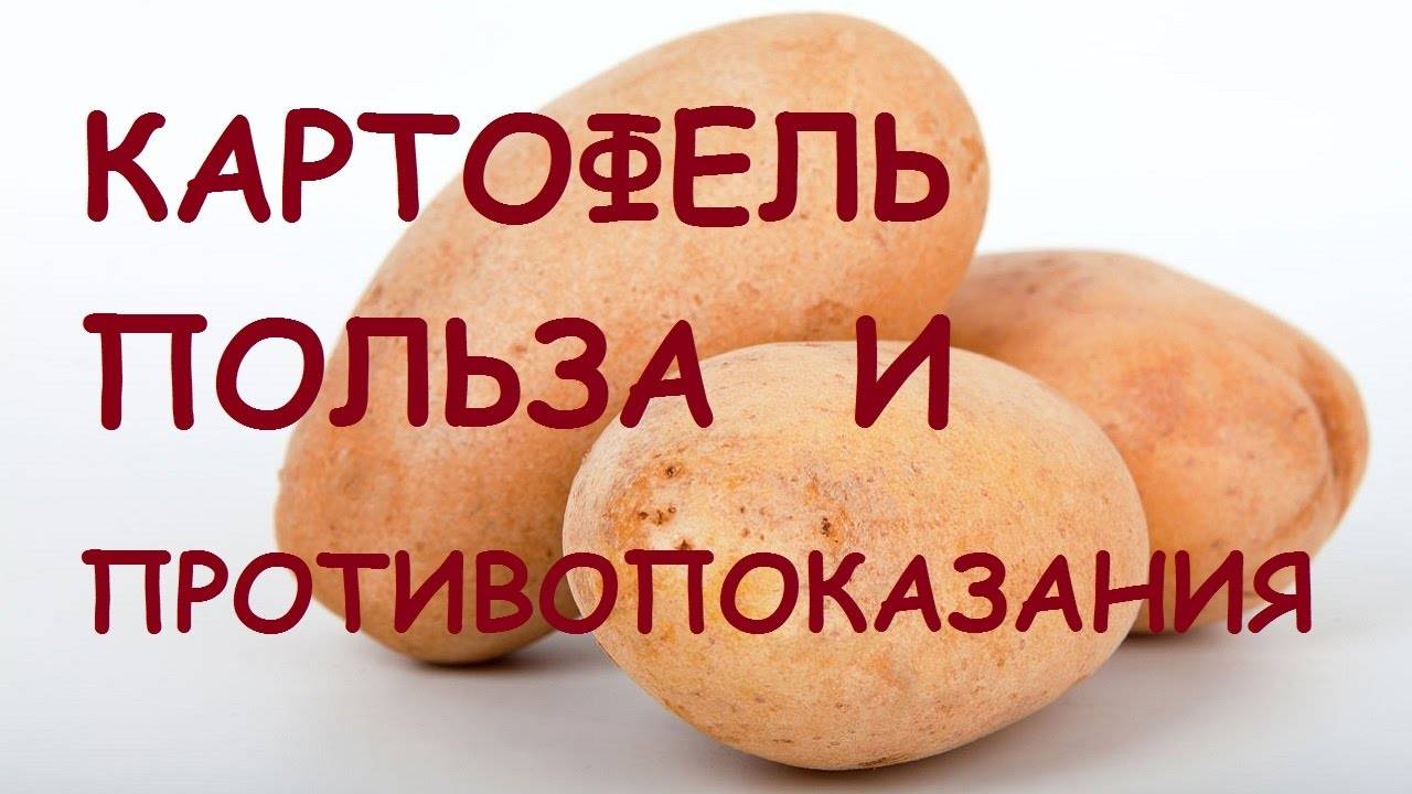 Польза и вред отзывы. Польза картошки для организма. Картофель вредит организму. Вопросы про картошку. Картофель больше полезен или вреден.