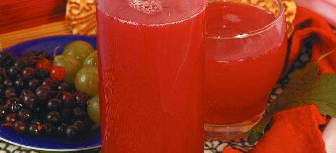 Наливки из крыжовника — изучайте с нами