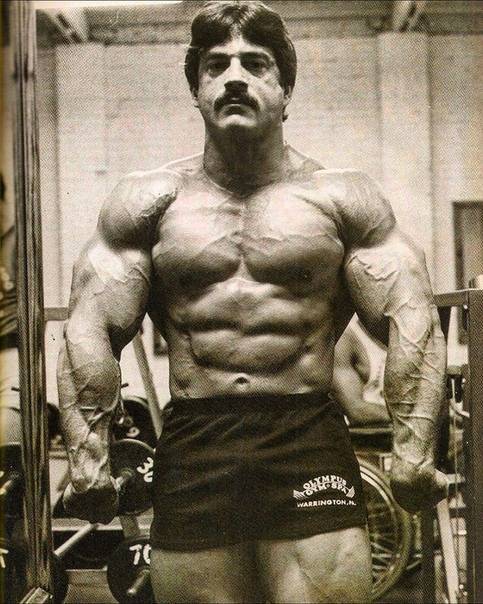 Супертренинг: система ментцера, программа тренировок и принципы супертренинга, практические рекомендации по применению программы майкла ментцера