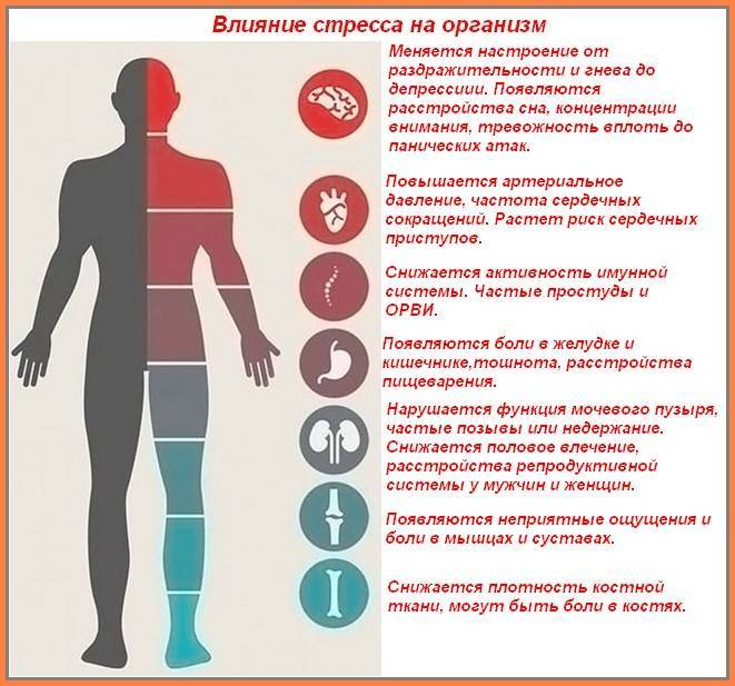 Стресс: есть ли от него польза и как ее получить | блог 4brain