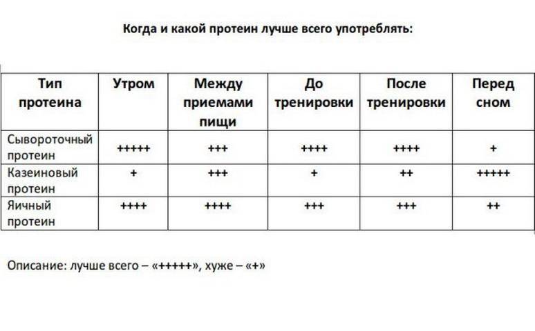 Протеины для роста мышц: какой подходит лучше всего и есть ли от него вред?