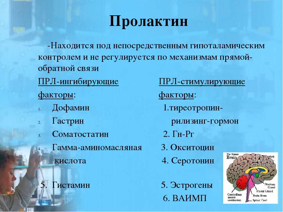 Пролактин повышен - что это означает и как понизить гормон