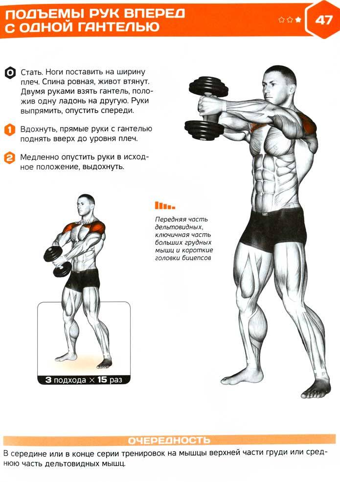 Жим штанги стоя (армейский жим)