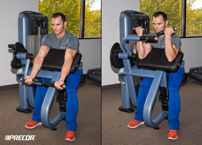 Подъем гантелей на бицепс в скамье скотта: техника, фото и видео