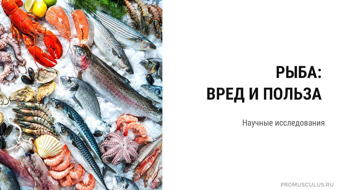 Польза и вред рыбы для здоровья человека: результат анализа более 40 научных исследований | promusculus.ru
польза и вред рыбы для здоровья человека: результат анализа более 40 научных исследований | promusculus.ru