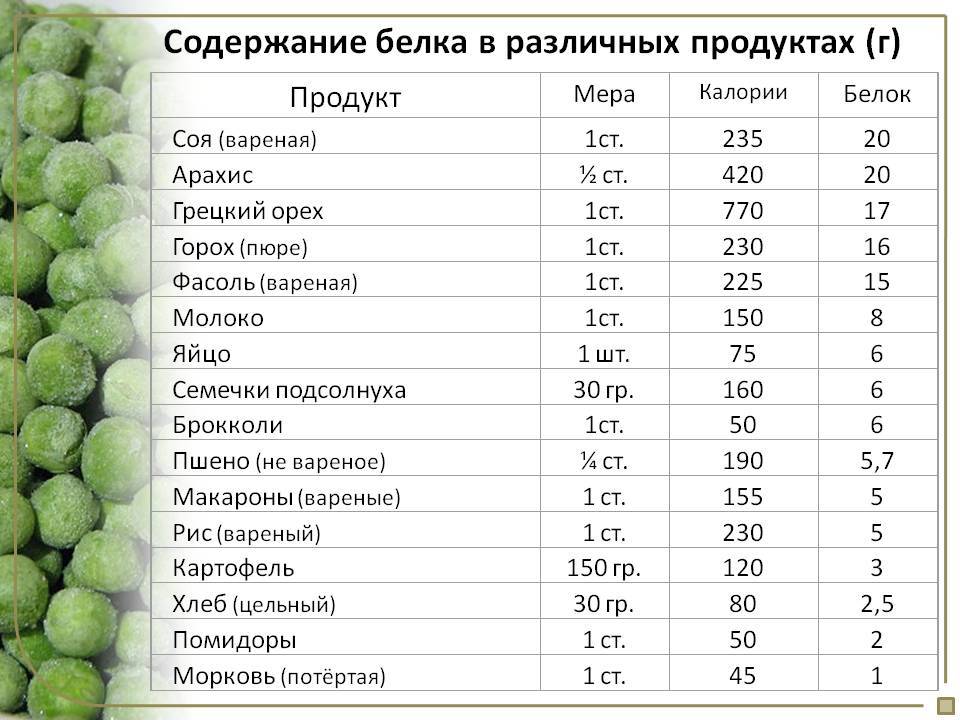 В каком супе больше белка