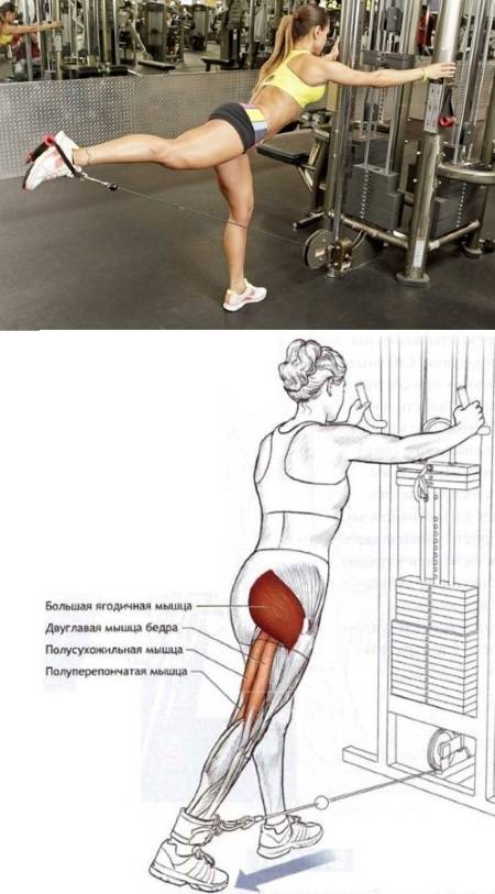 Как правильно делать приседания: подробная техника приседаний без веса, ошибки, польза