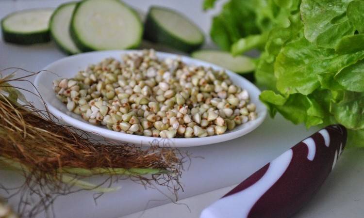 Польза и вред гречки для здоровья человеческого организма