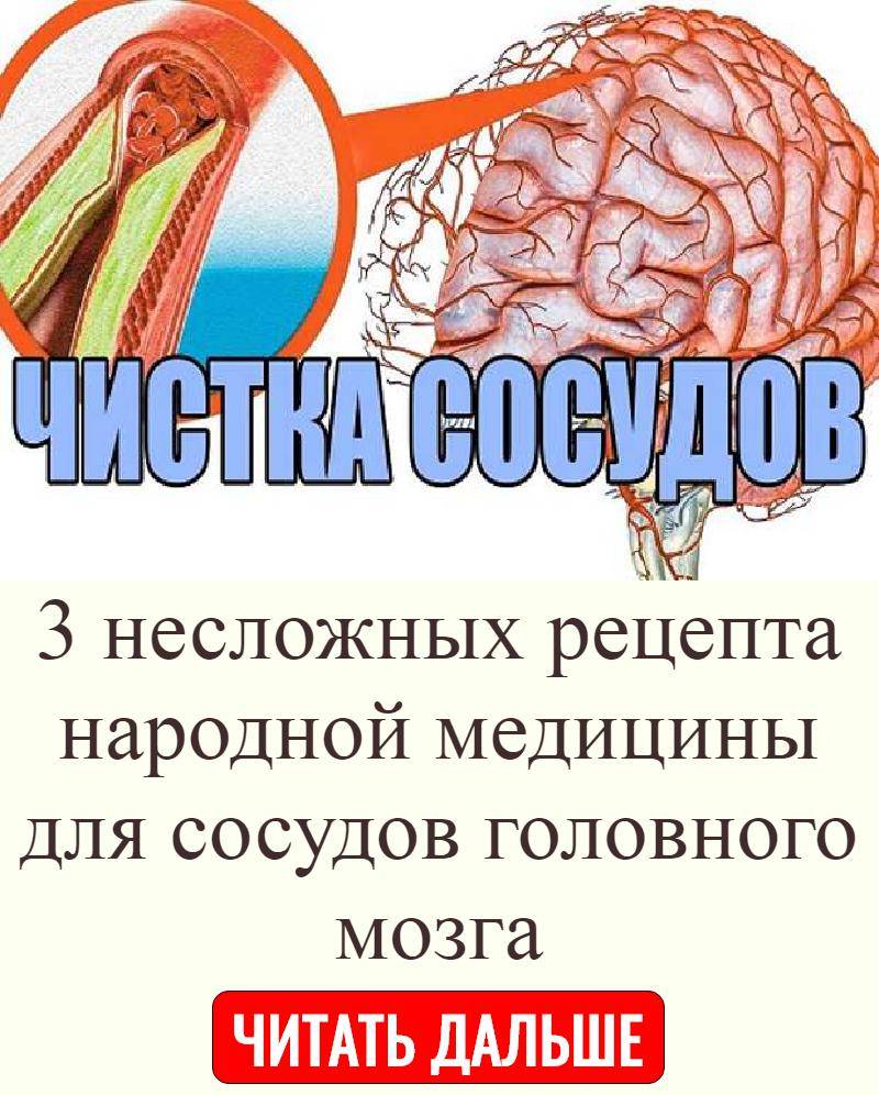 Продукты для мозга и сосудов