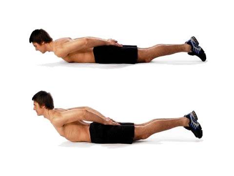 Как накачать мышцы спины: программа тренировок и лучшие упражнения на спину в тренажерном зале для увеличения ширины и массы