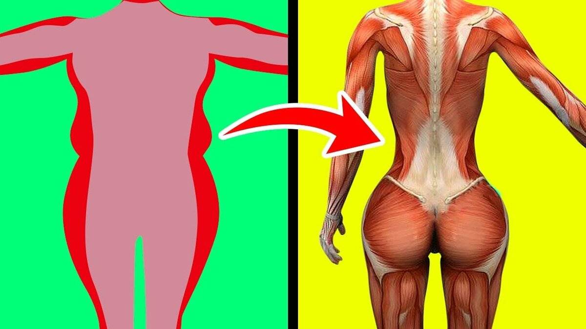 Как убрать бока и живот в домашних условиях | доктор борменталь