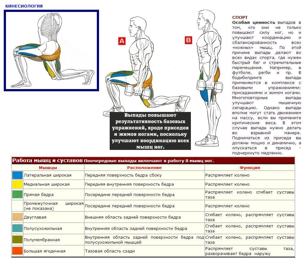 Выпады назад: техника выполнения