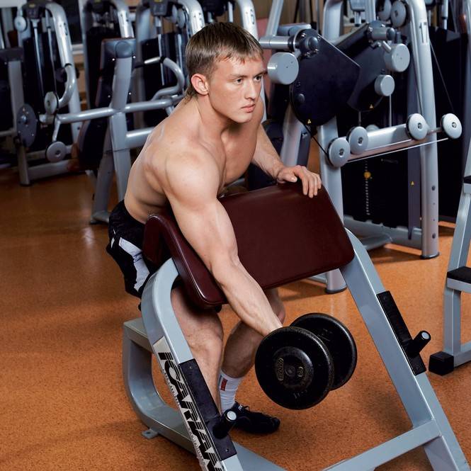 Сгибания рук на скамье скотта со штангой: какие мышцы работают, техника выполнения, видео