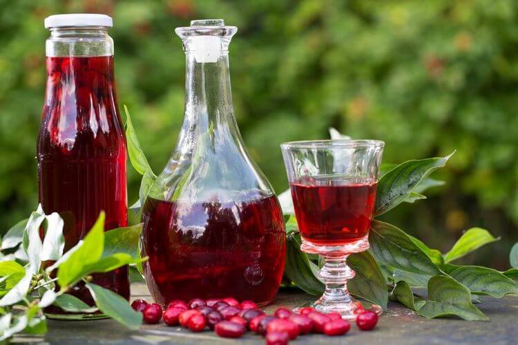 Ликер из виноградного сока на спирту. наливка из винограда — рецепт без водки. рецепт классической настойки из винограда