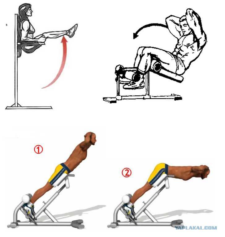 Упражнения на косые мышцы живота