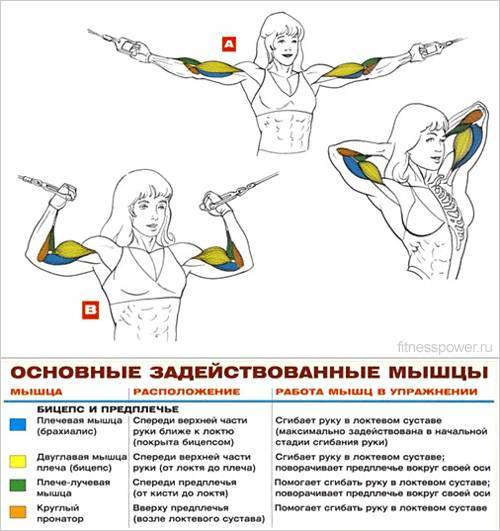 Как накачать пальцы рук в домашних условиях: эффективные упражнения