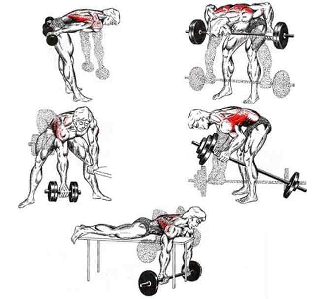 Упражнения на спину на массу. Базовые упражнения на спину в спортзале. Упражнения для крыльев спины в тренажерном зале. Упражнения для прокачки спины в тренажерном зале для мужчин. Упражнения для широчайших мышц спины в тренажерном зале.