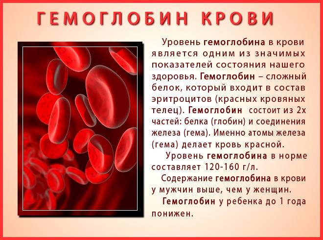 Большое количество крови в организме. Гемоглобин. Гемоглобин в крови. Снижение уровня гемоглобина. Заболевание крови низкий гемоглобин.