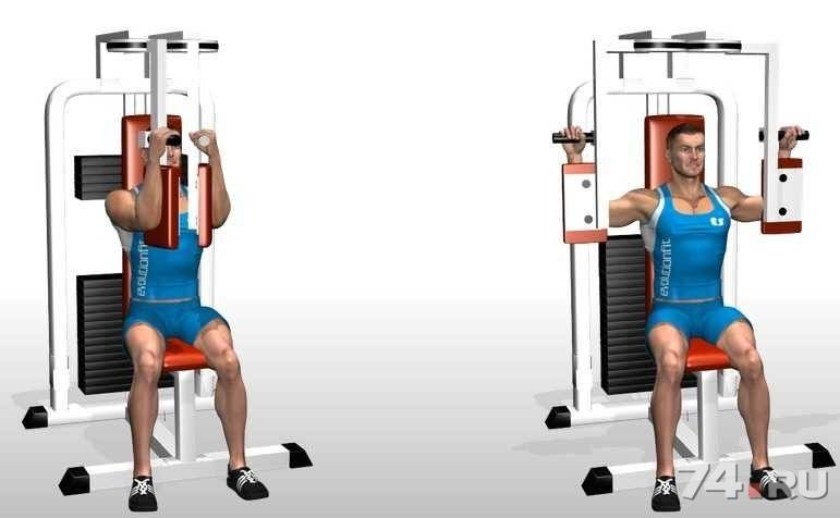 Сведение рук перед грудью на тренажере - всё о спортивных тренировках