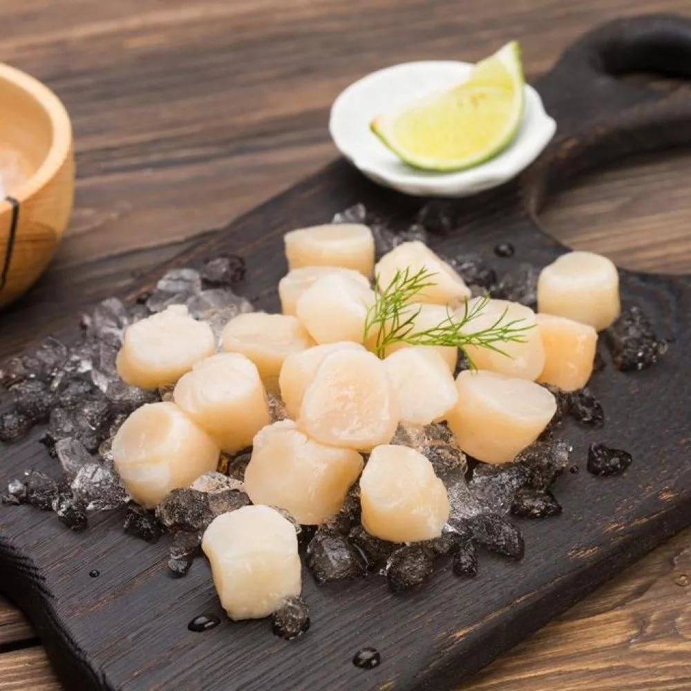 Морские гребешки: польза и вред для организма