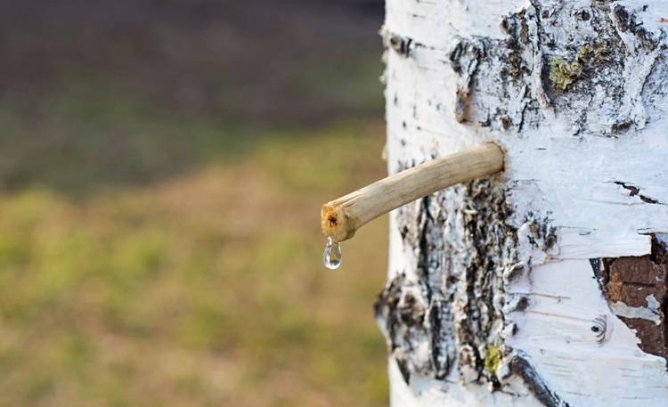 Соки. польза и вред соков для организма