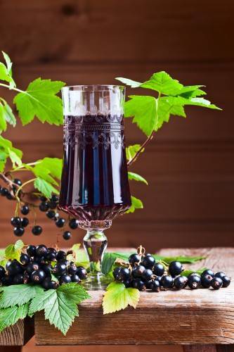 Вино из черной смородины: рецепты, секреты, хитрости приготовления
