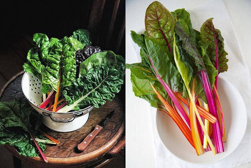 Мангольд: польза и вред, как приготовить | пища это лекарство